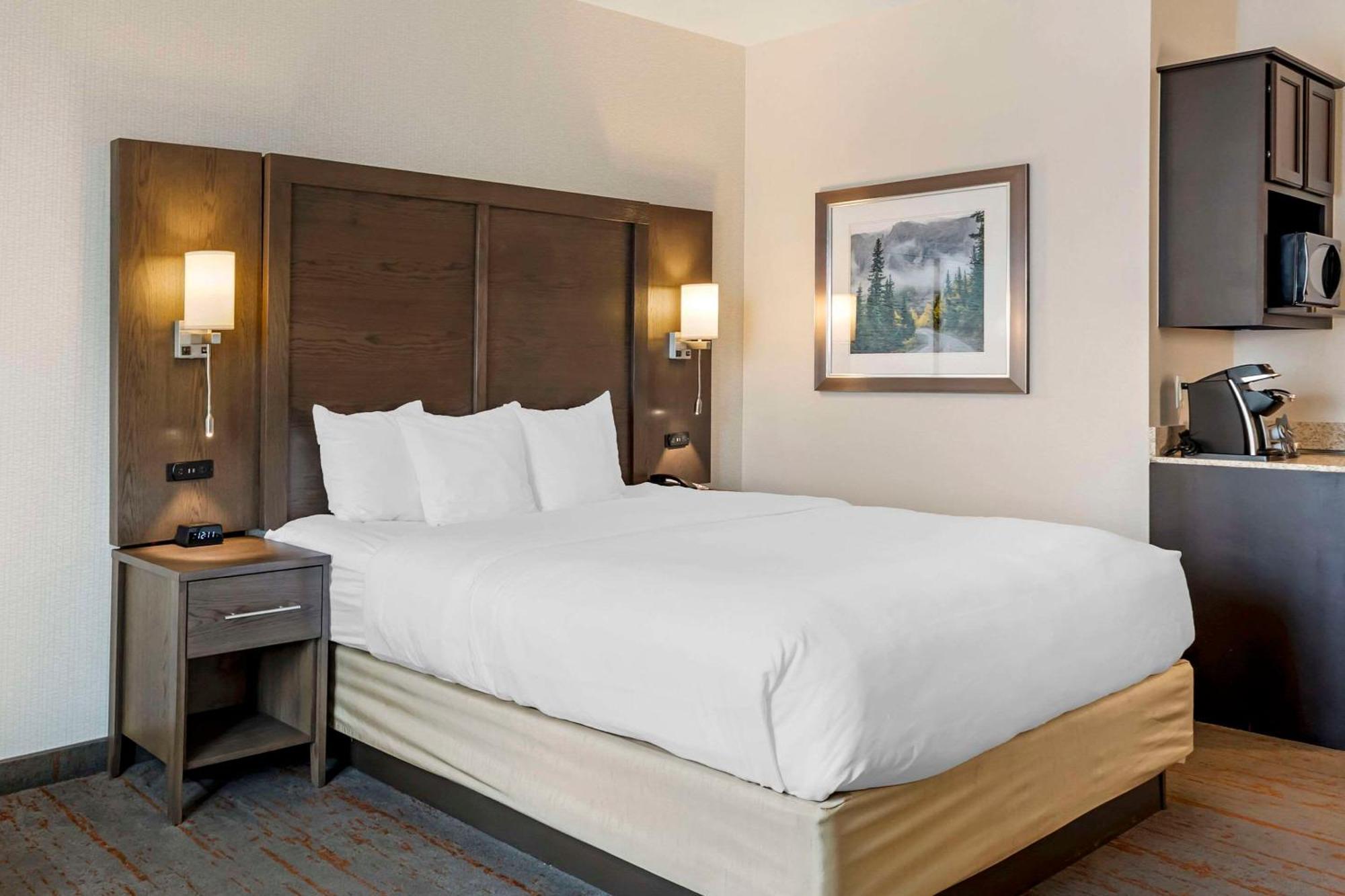 Comfort Inn & Suites Brighton Denver Ne Medical Center Экстерьер фото